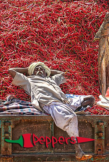 Waterford Indian Restaurant, chili harvest in Rajasthan, India